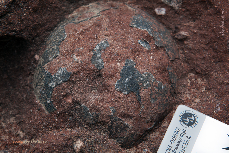 s_시화지질_2010_04_22_160525_EF24-70mm f_2_8L USM_w760.jpg