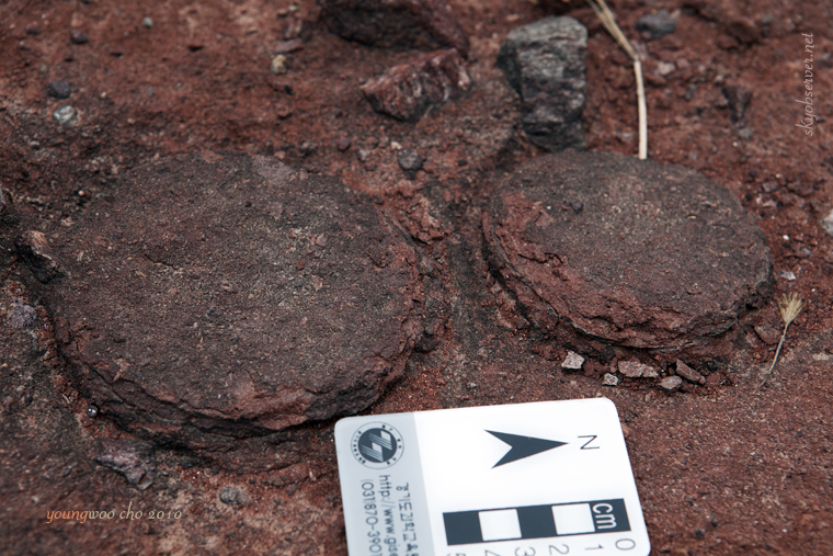 s_시화지질_2010_04_22_160747_EF24-70mm f_2_8L USM_w760.jpg