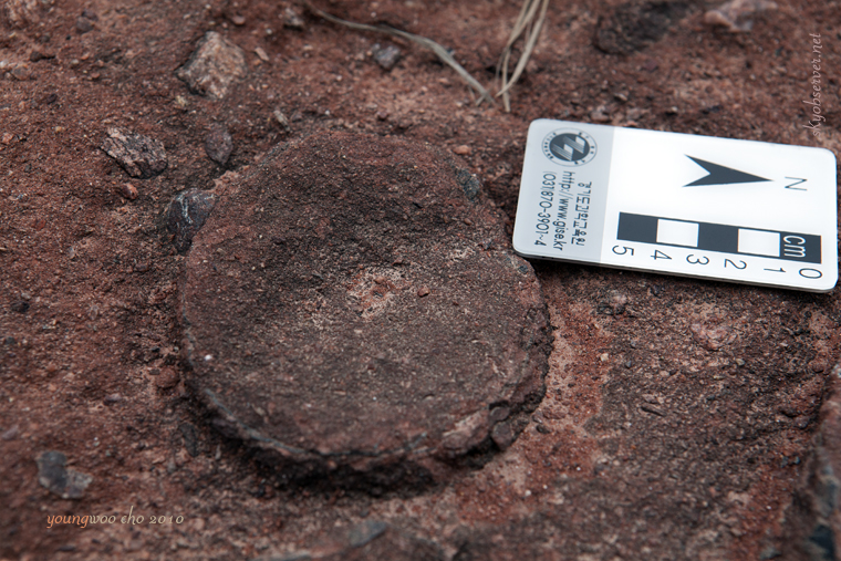 s_시화지질_2010_04_22_160735_EF24-70mm f_2_8L USM_w760.jpg