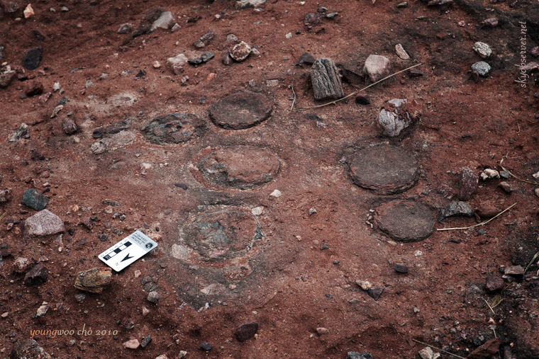 s_시화지질_2010_04_22_160428_EF24-70mm f_2_8L USM_w760.jpg