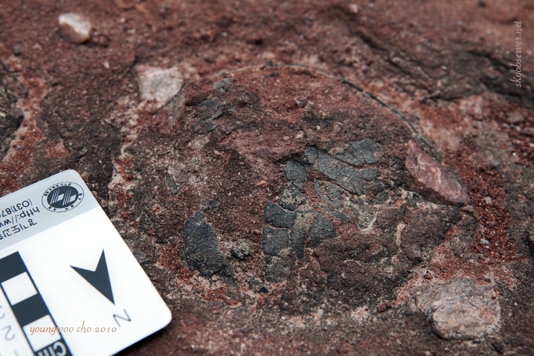 s_시화지질_2010_04_22_160651_EF24-70mm f_2_8L USM_w760.jpg