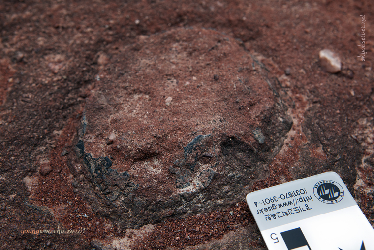 s_시화지질_2010_04_22_160647_EF24-70mm f_2_8L USM_w760.jpg